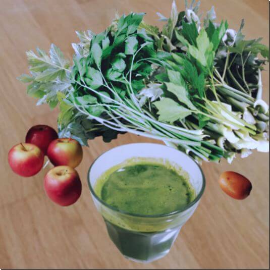 내일의 슈퍼푸드 신선초 효능 및 활성 성분