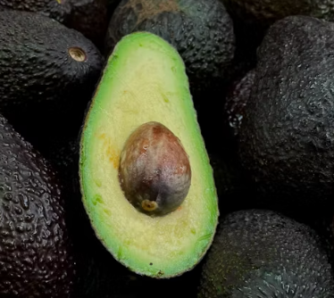 마그네슘 하루 권장량 성인 섭취량 부작용