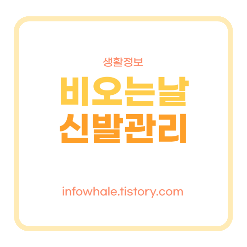 가죽신발비