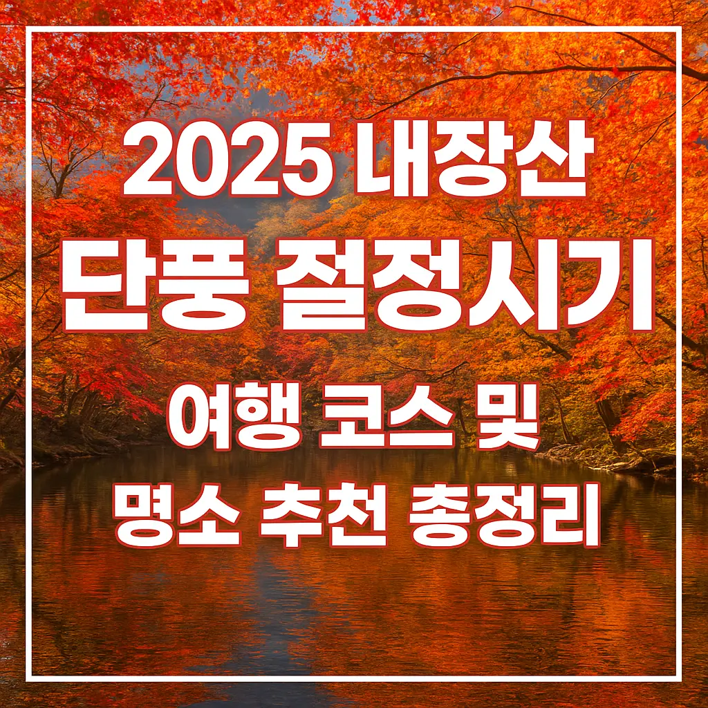 내장산 단풍 절정시기 및 여행코스 총정리 이미지 사진