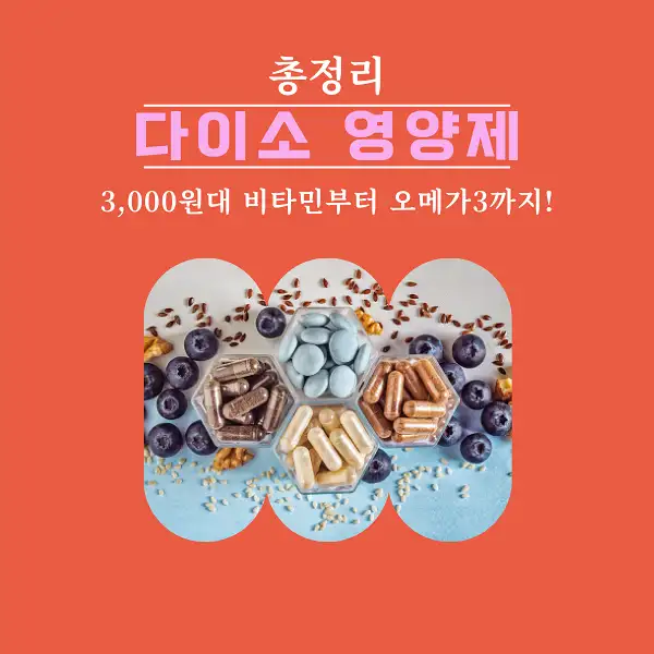 다이소 영양제
