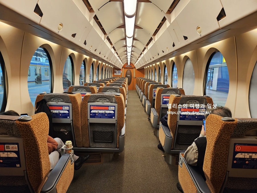 라피트 특급열차 간사이 공항에서 난바역 위치 시간표 가격 예약방법 정리