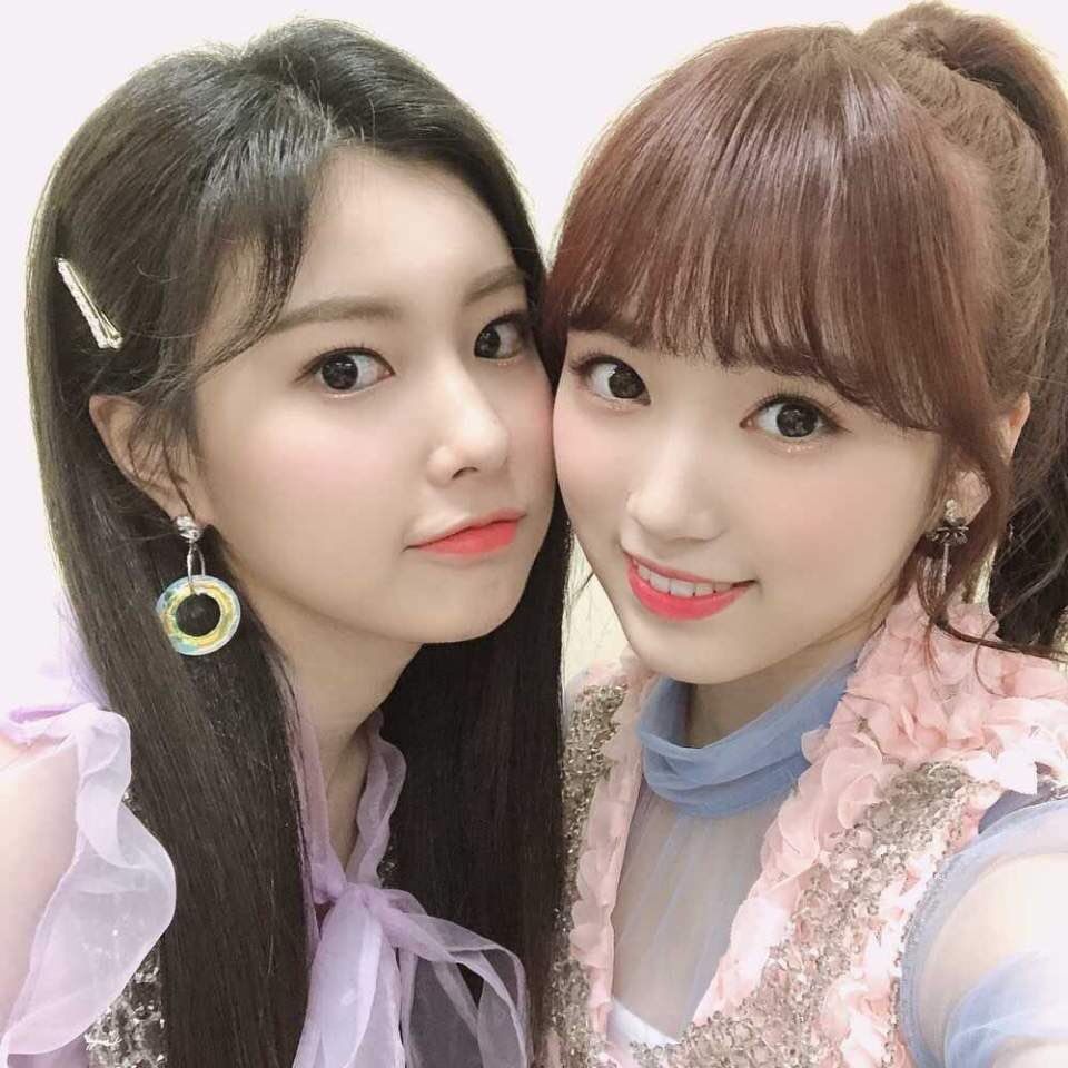 아이즈원 프로듀스48 사진 모음 아이즈원 프로듀스48 사진 모음