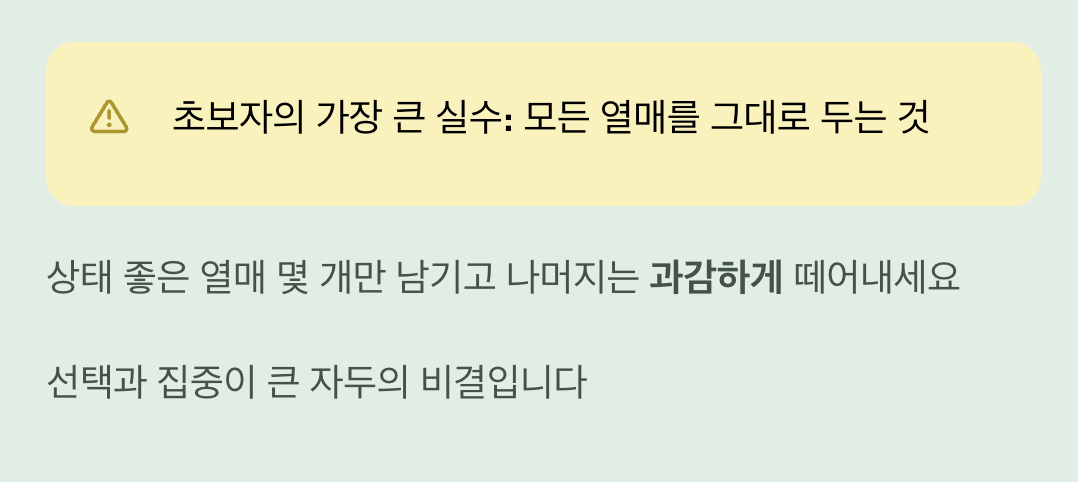 더 크고 맛있는 열매를 위한 마법, 열매 솎기