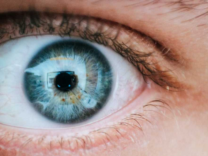 루테인 지아잔틴 아스타잔틴