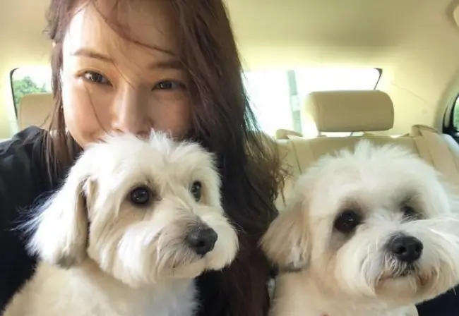 유기동물보호소 입양 비용