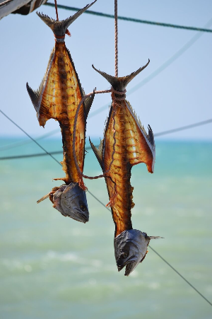 일반쓰레기 배출