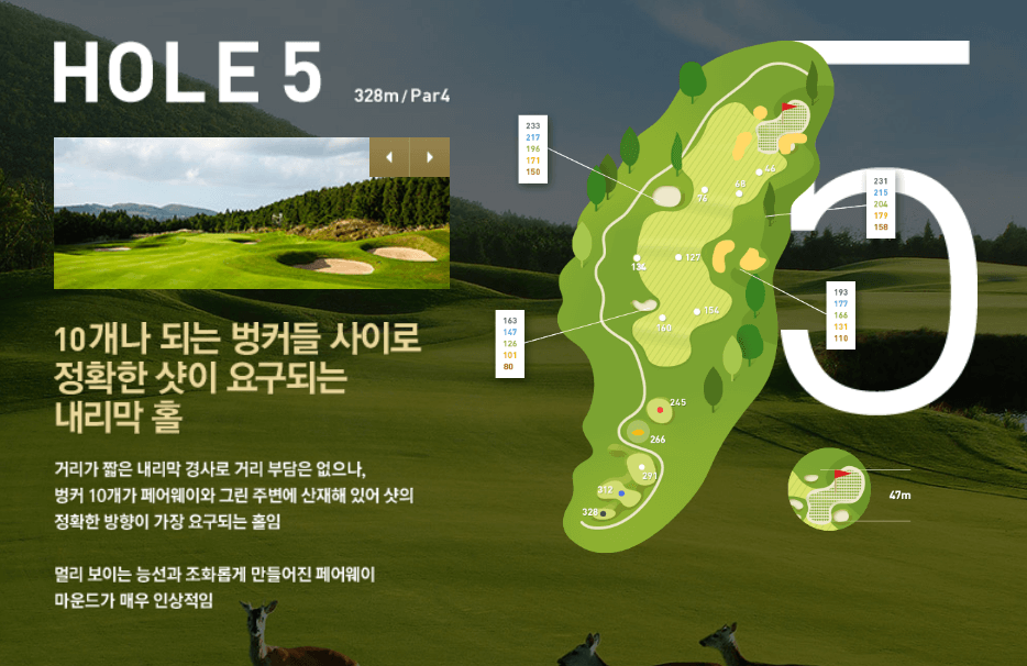 나인브릿지 CC의 코스 공략도 14