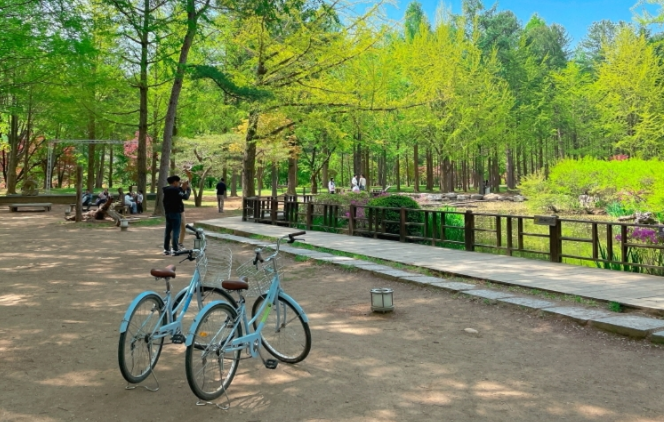 가을 단풍여행 : 남이섬