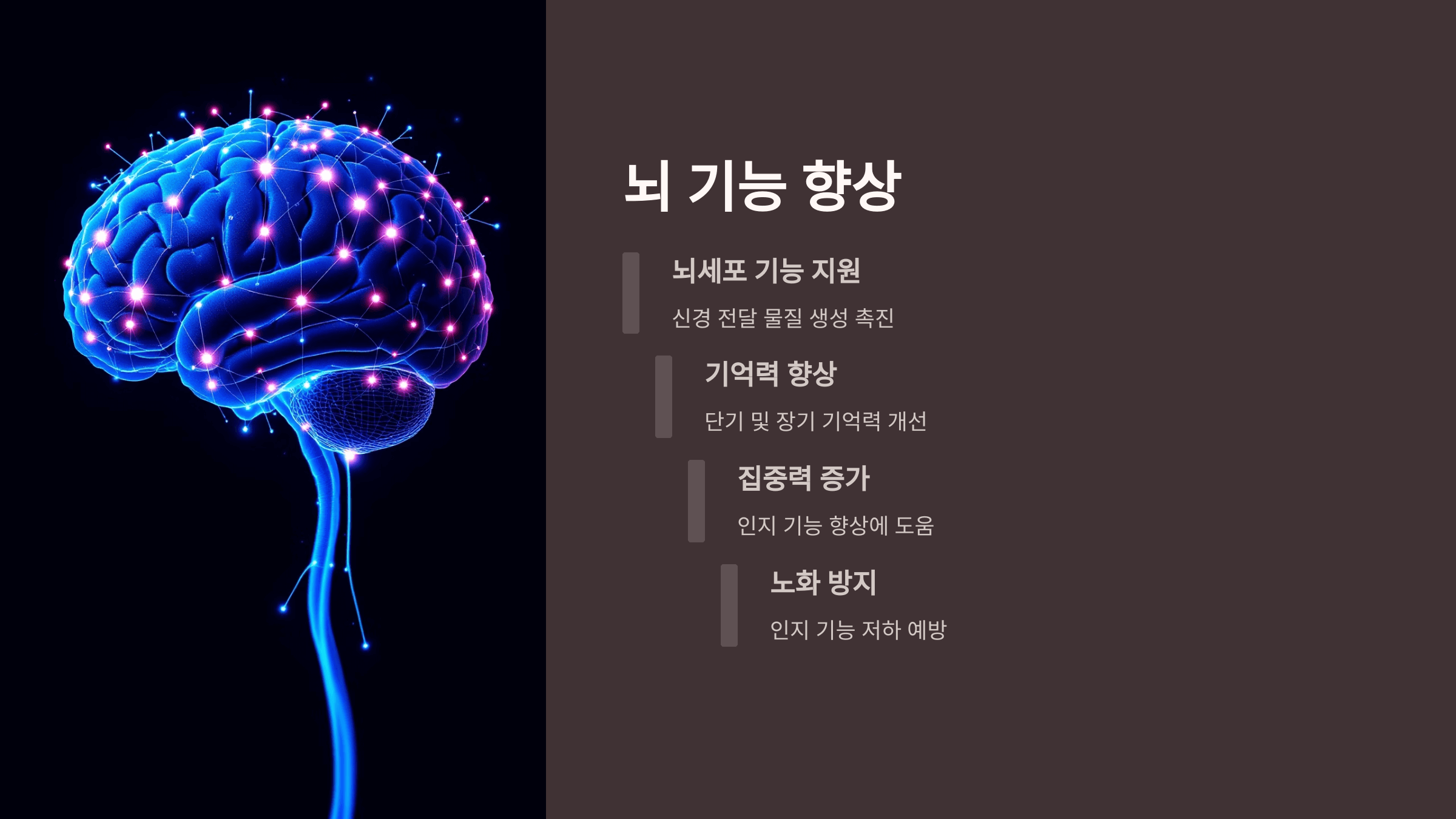 상황버섯 사진입니다.