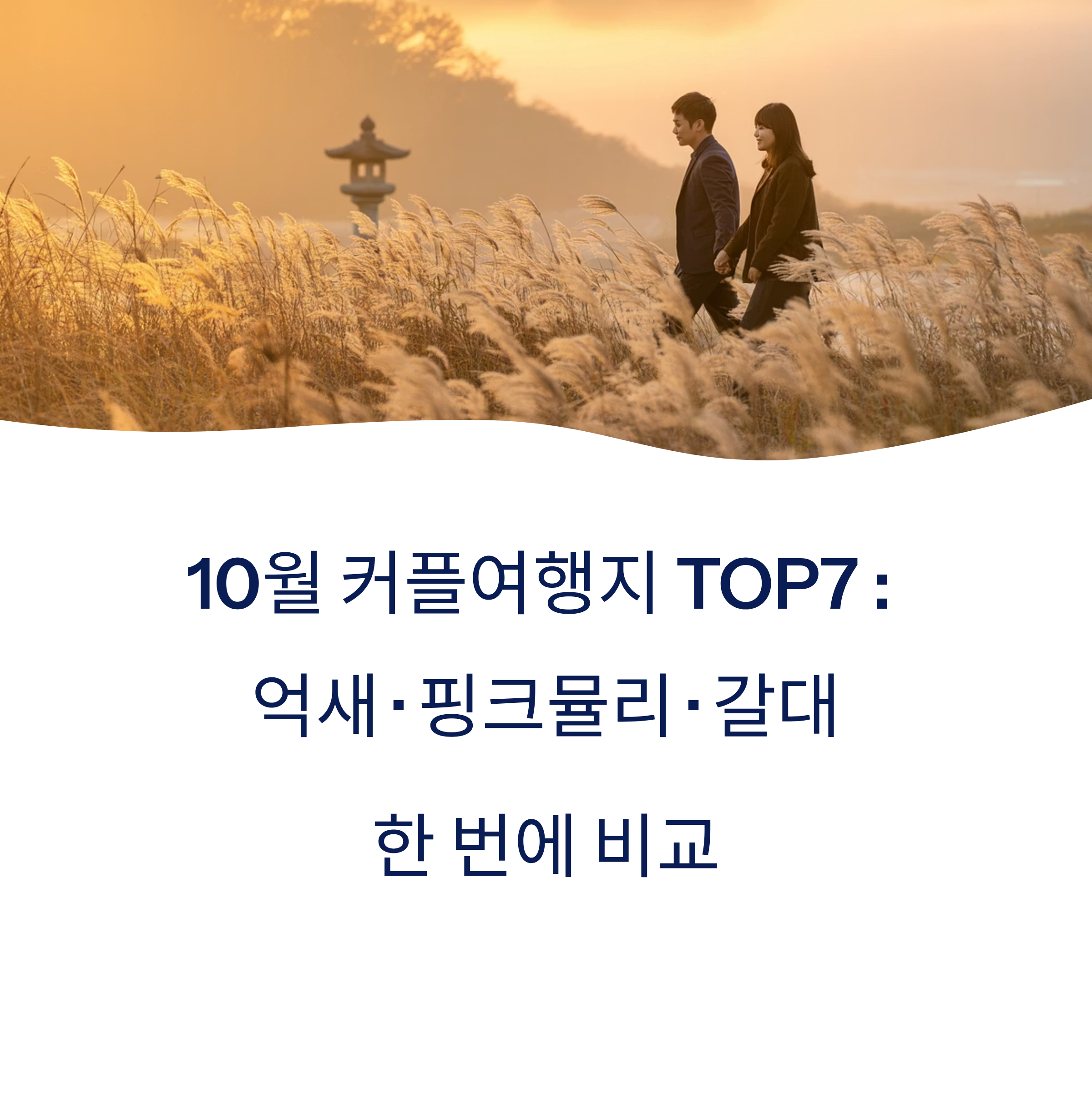 10월 커플여행지 TOP7 : 억새 · 핑크뮬리 · 갈대 어디가 좋을까?