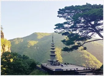 봉화 가볼만한곳 베스트10 현지인 추천 필수코스_21