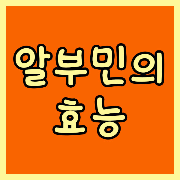 알부민의 효능 총정리