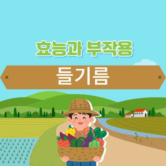 들기름 효능과 부작용