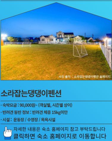 소라잡는 댕댕이 펜션