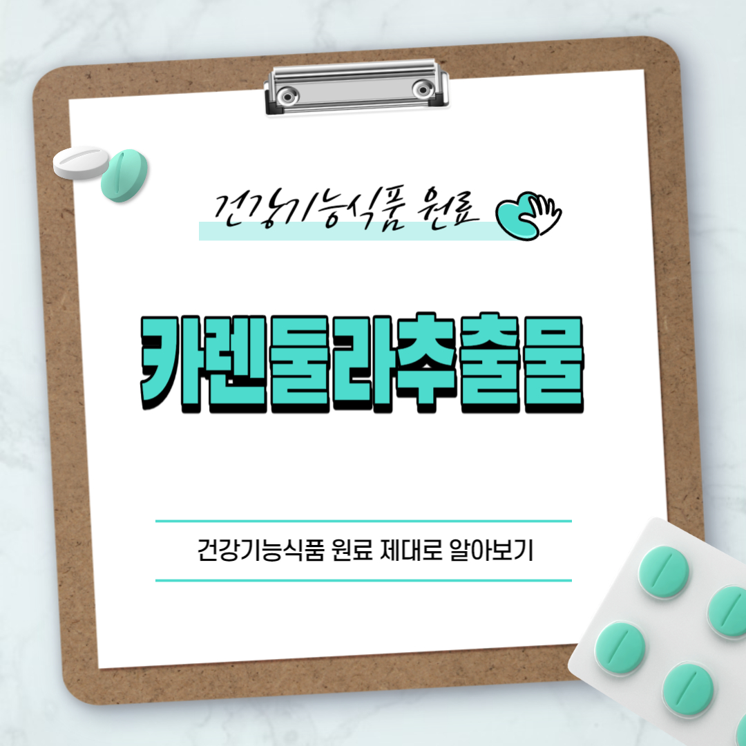 카렌둘라추출물