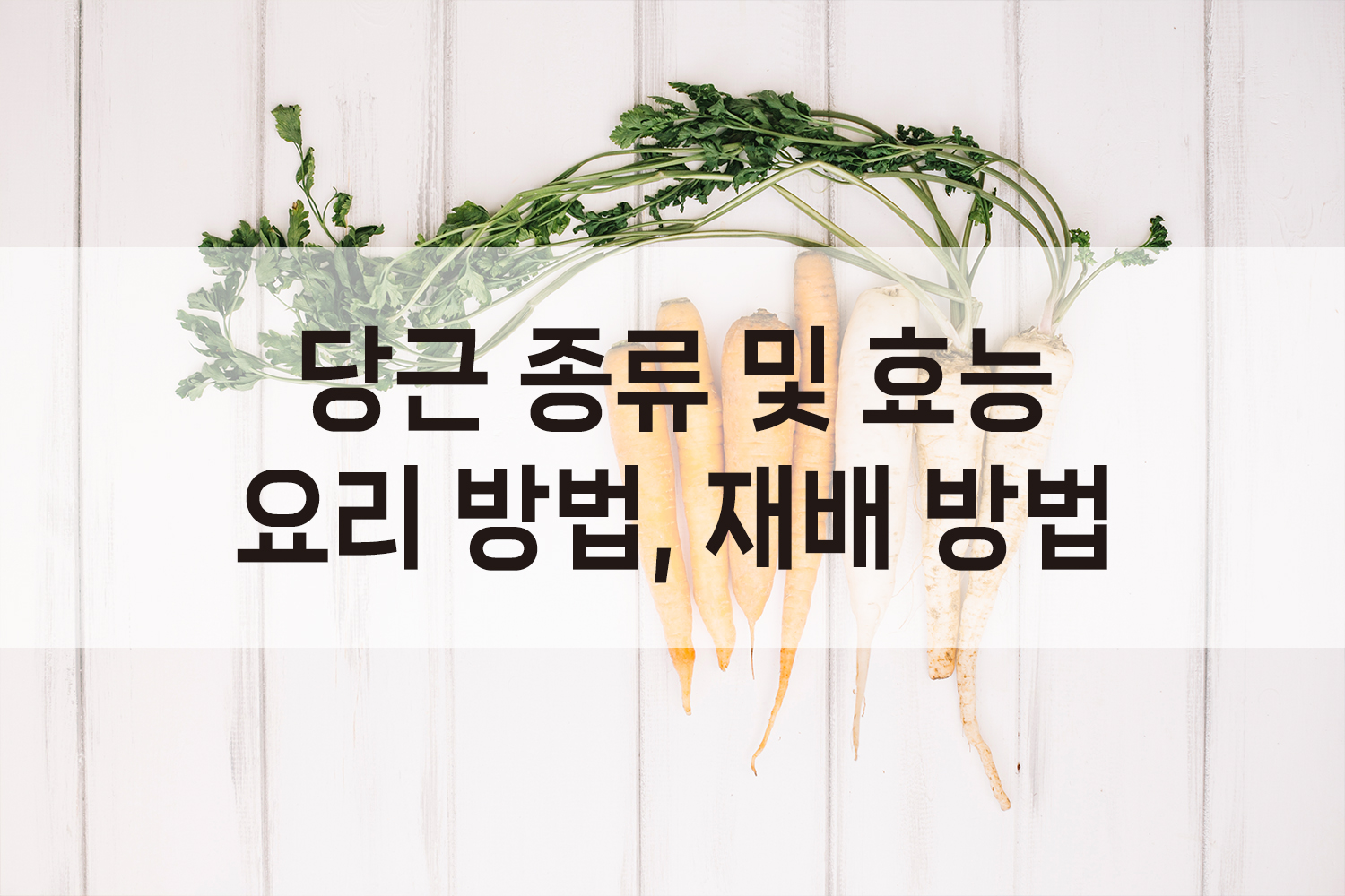 당근의 효능