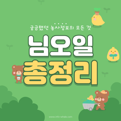 님오일 사용방법과 효능, 농업에서의 살충효과까지