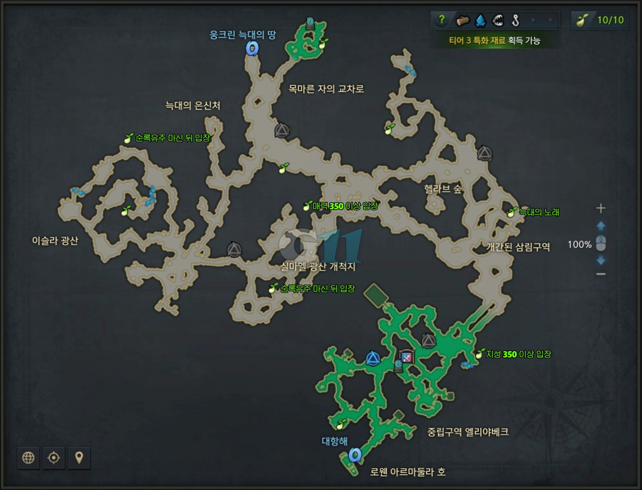 어금니의강 모코코