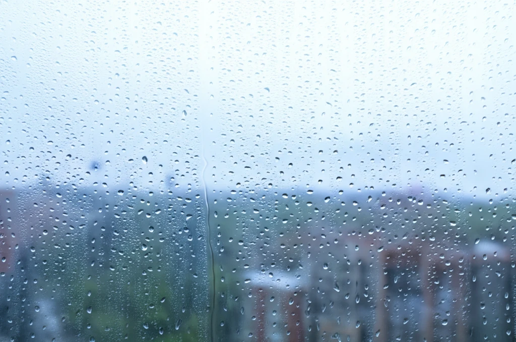 발수 코팅, 왜 해야 할까? 효과 극