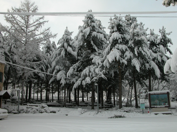 유명산 자연휴양림