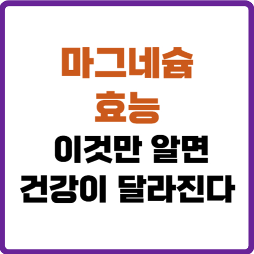 마그네슘 효능