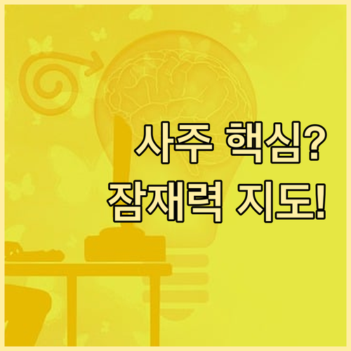 사주를 운명 아닌 '잠재력 지도'로 ..