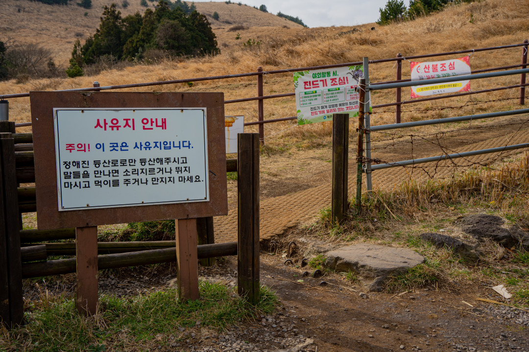 용눈이 오름 입구