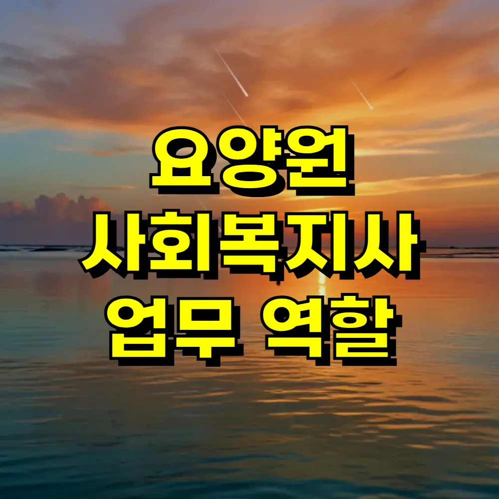 요양원 사회복지사 업무 역할