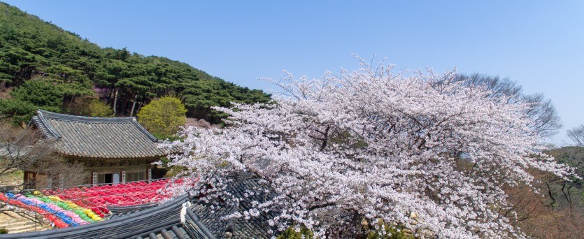 전등사 템플스테이