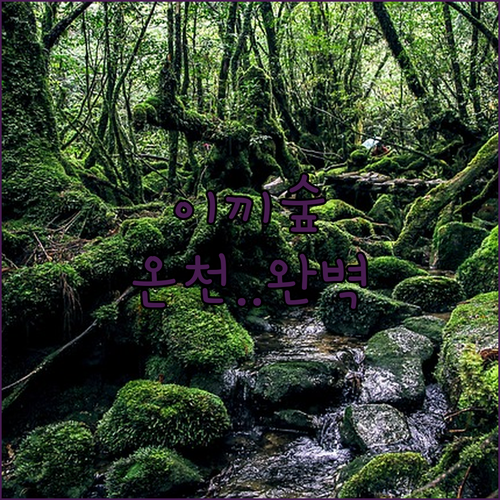 이끼 숲 트레킹 후 온천과 가이세키까..
