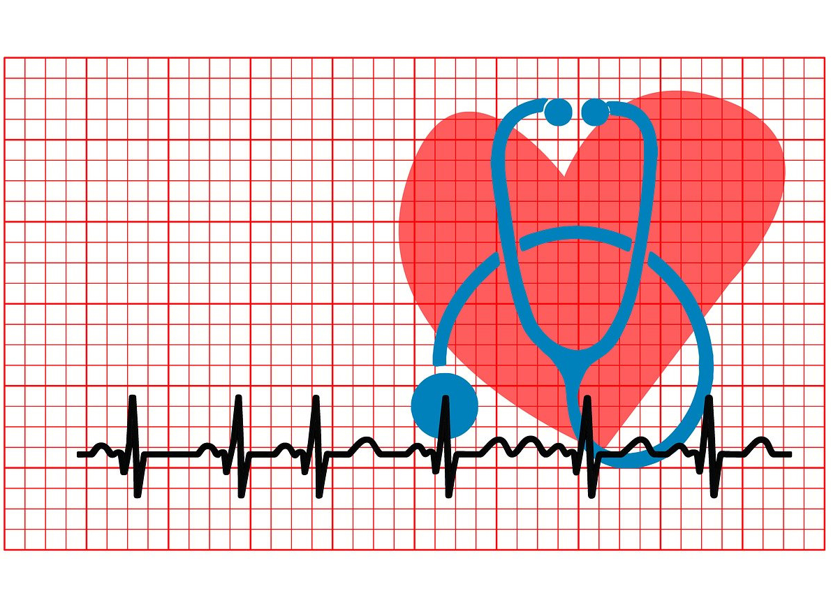 건강생활실천지원금 신청방법