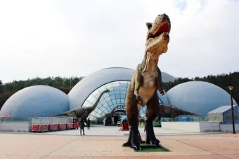 보성 가볼만한곳 베스트10 현지인 추천 필수코스_3