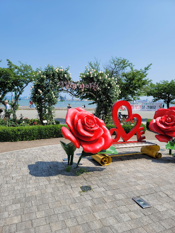 포항 영일대 장미원 모습