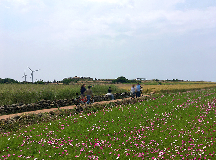 가파도-풍경-자전거-타고-즐기기3