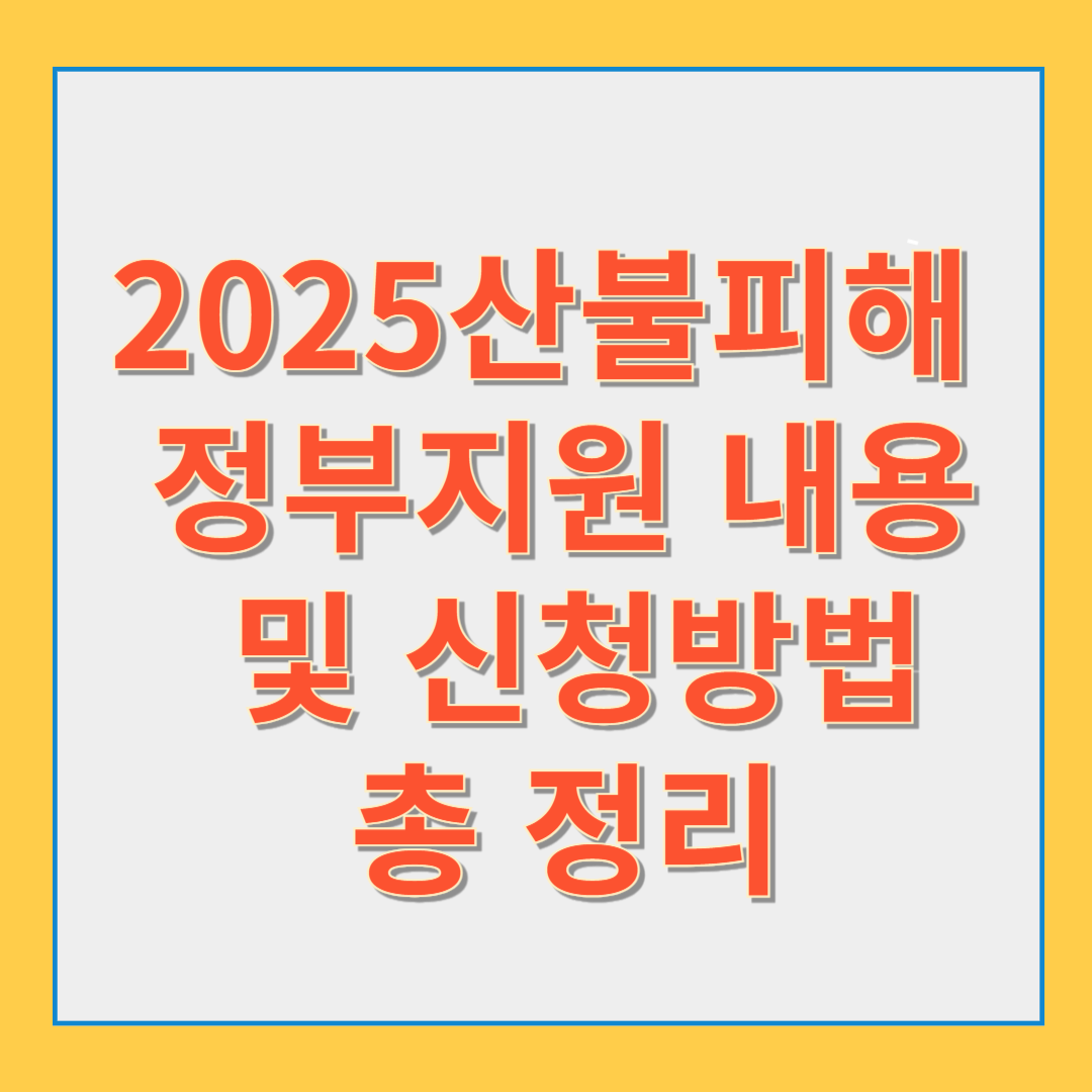 📝 산불 피해와 정부 지원에 대한 개요