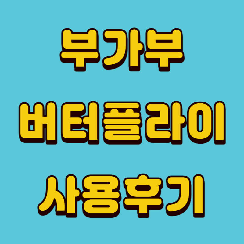 부가부 버터플라이