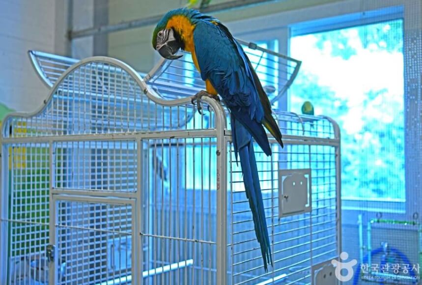 순창 가볼만한곳 베스트 10