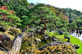 화담숲 예약 경쟁 피하는 법|조용히 즐기는 시간대 공개