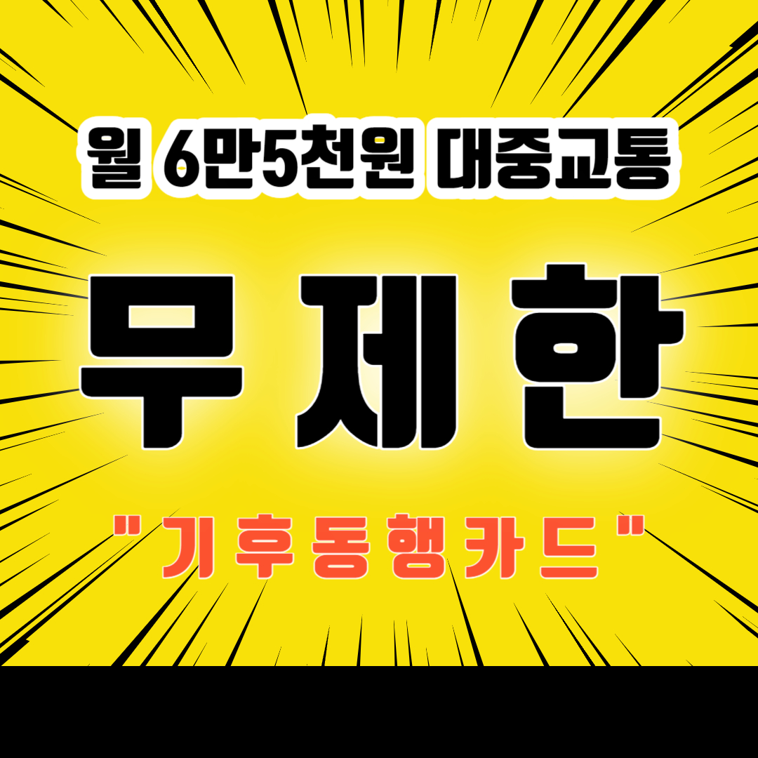 6만5천원에 무제한 대중교통 이용 출시 기후동행카드 안내.