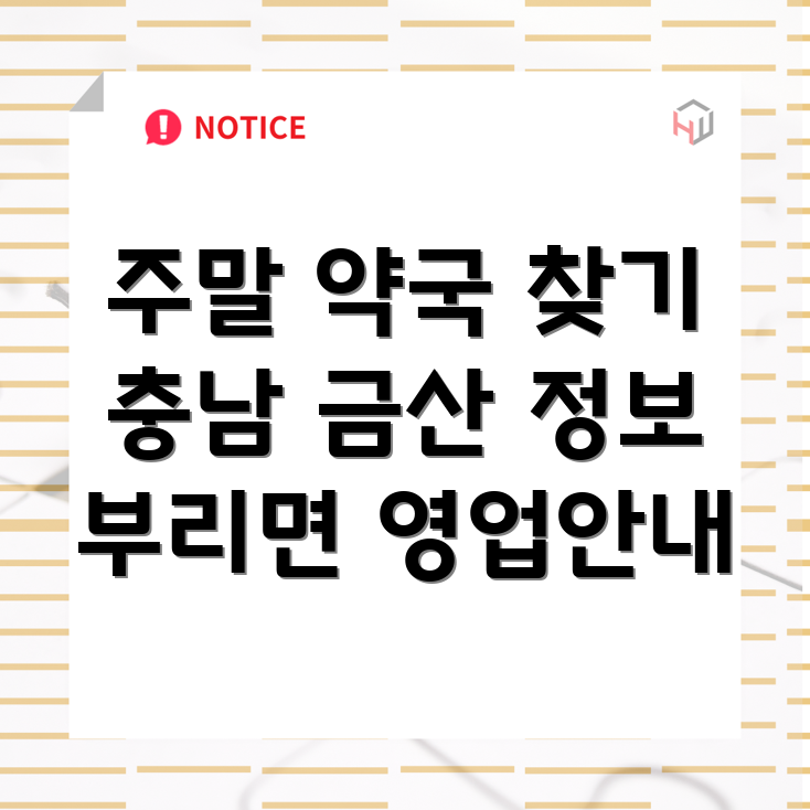 일요일 영업 약국