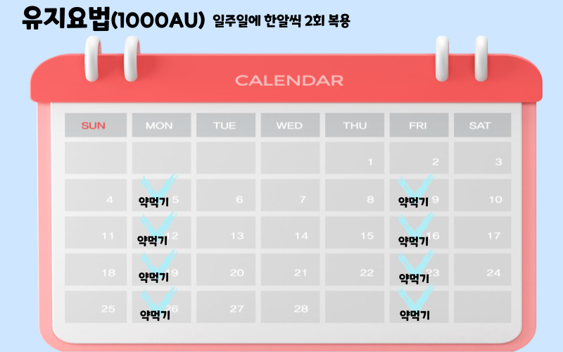 유지 캘린더