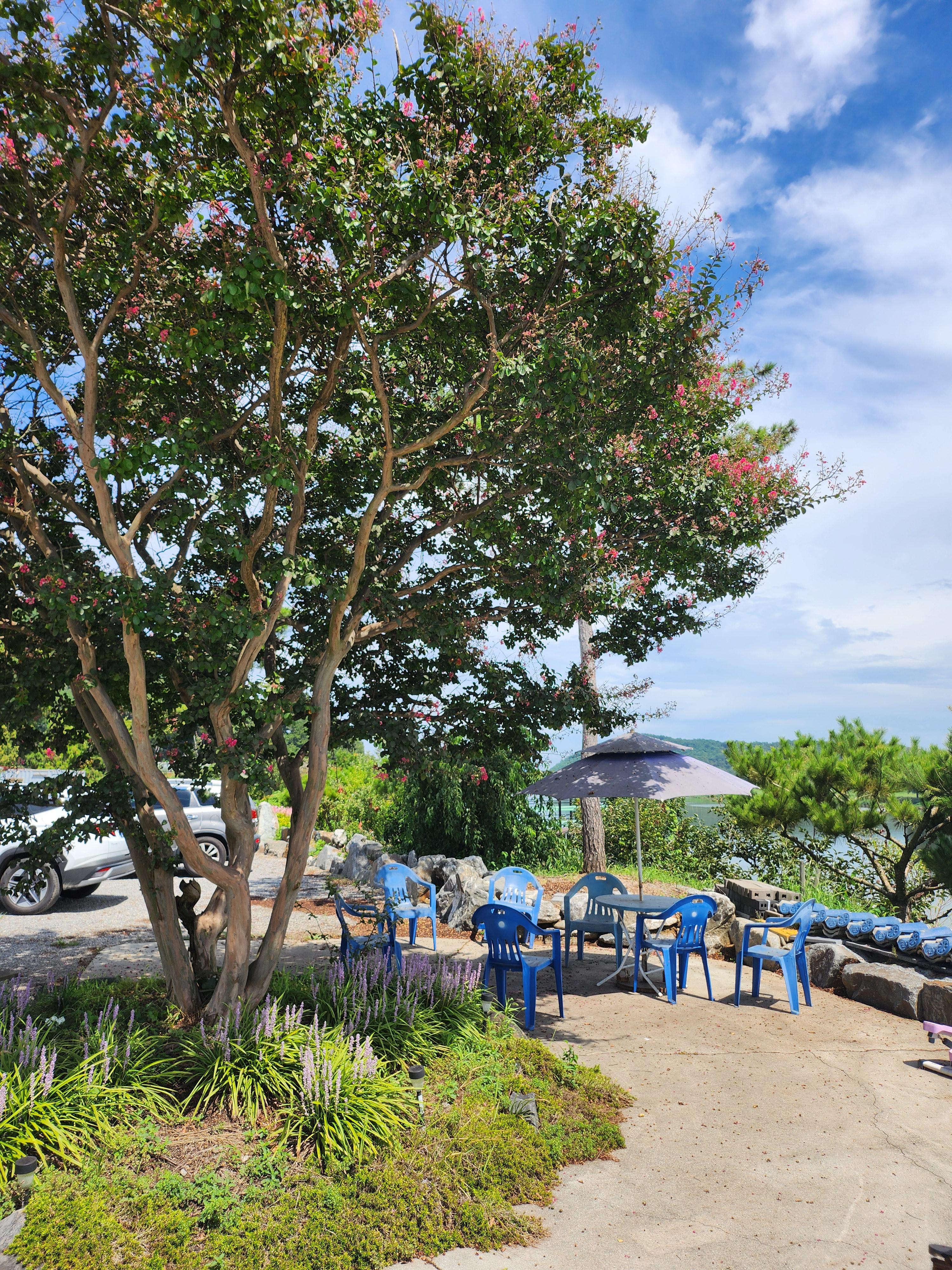 부여 백강막국수 주위풍경3