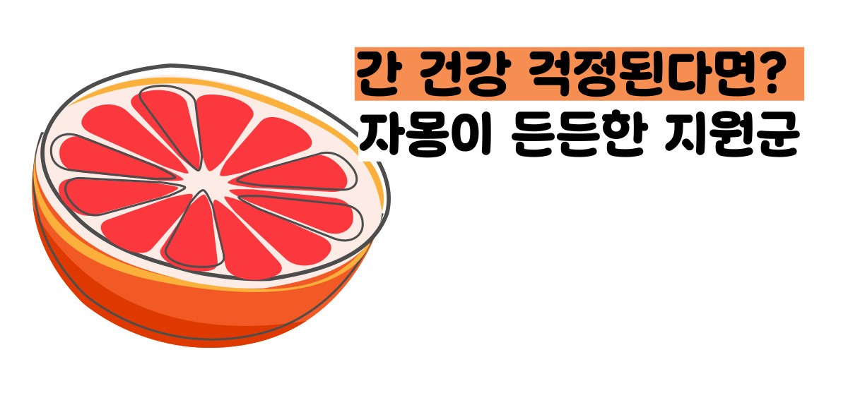 자몽 효능