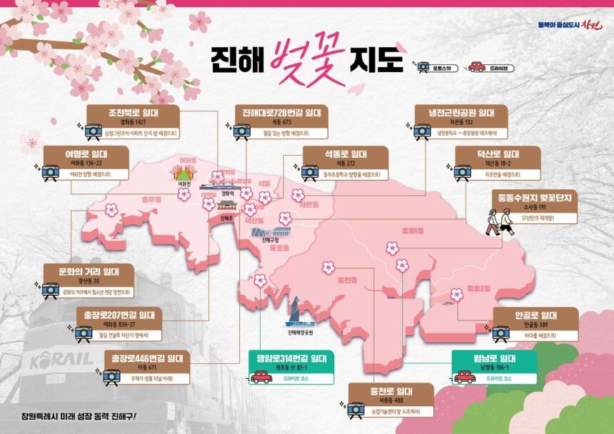 진해 벚꽃지도