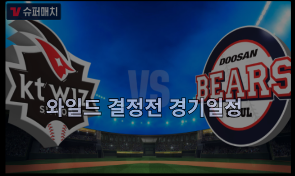 와일드결정전