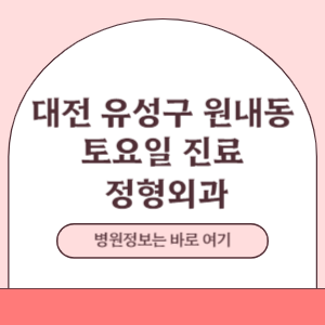 대전 유성구 원내동 토요일 정형외과 진료 병원