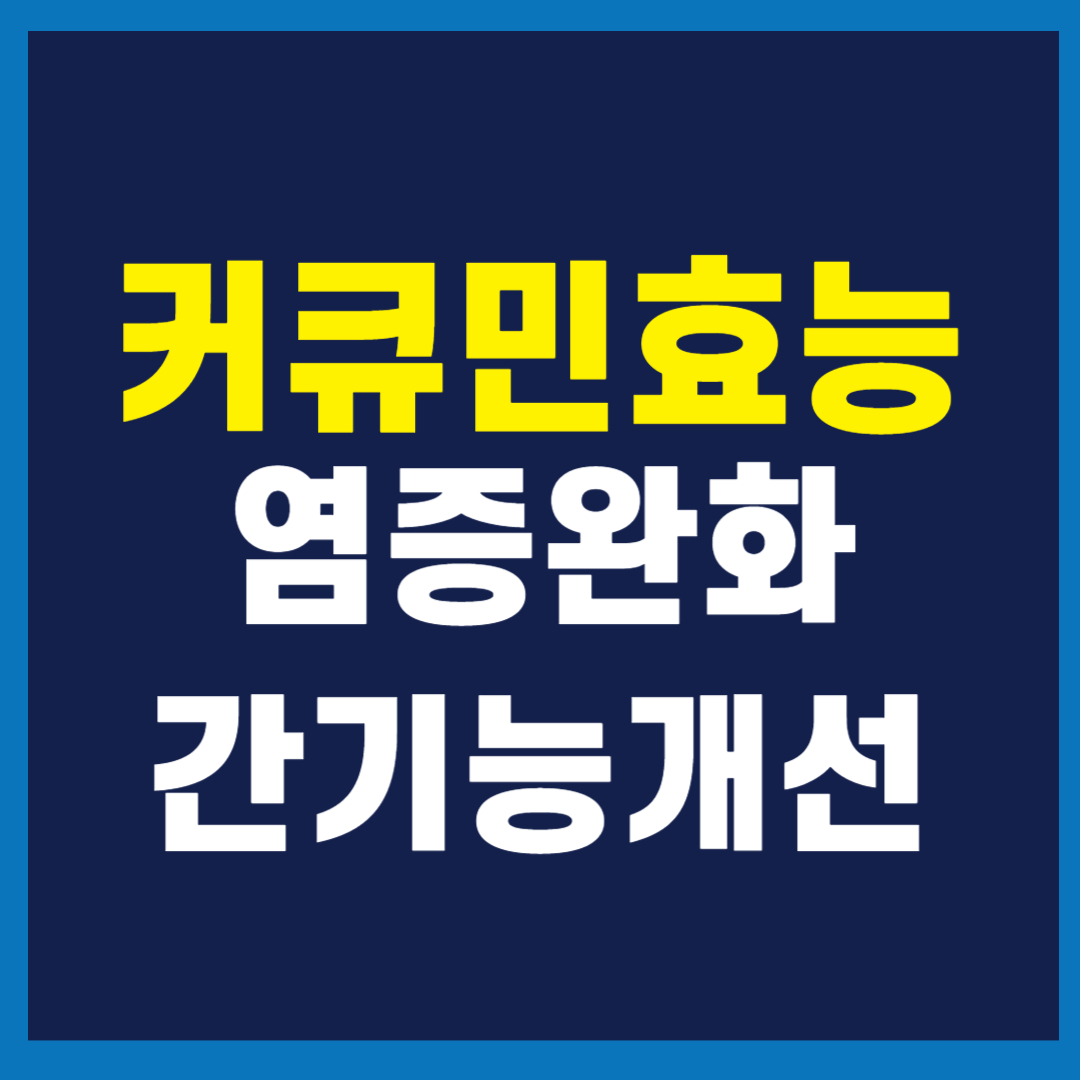 커큐민 효능