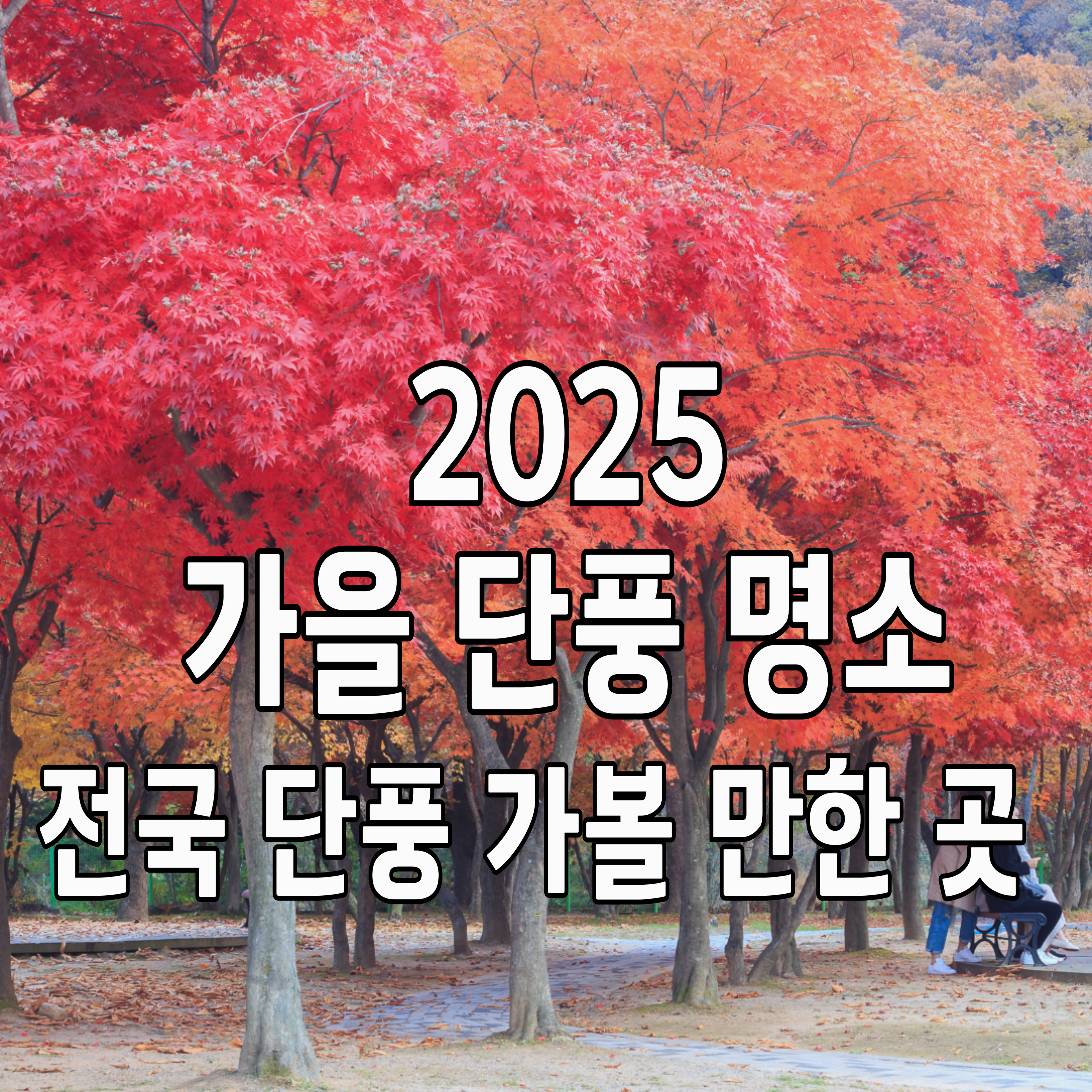 단풍-명소-1