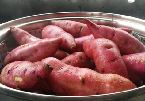 고구마 효능 (8)